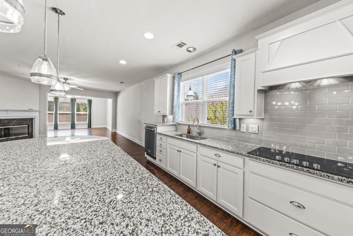 1081 Branch Creek Way Property Photo 7