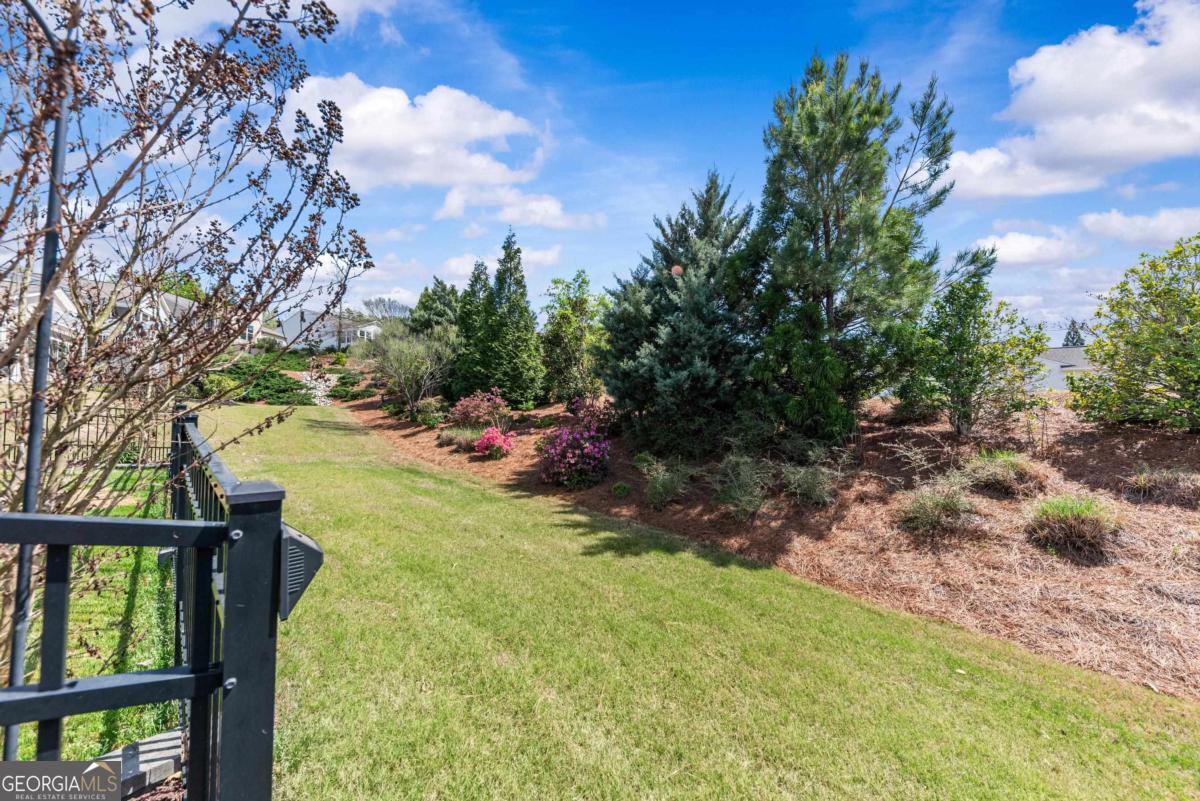 1081 Branch Creek Way Property Photo 39