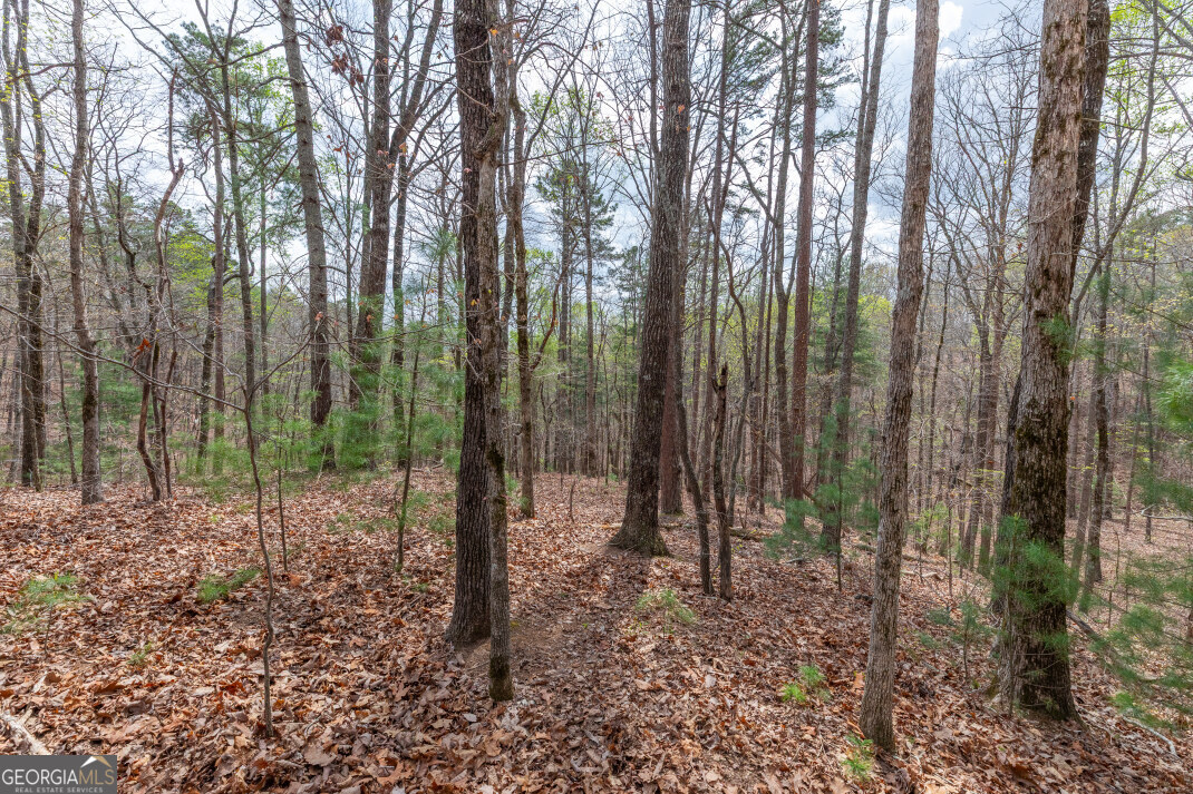 Lot 6b Glenridge Way Property Photo 3