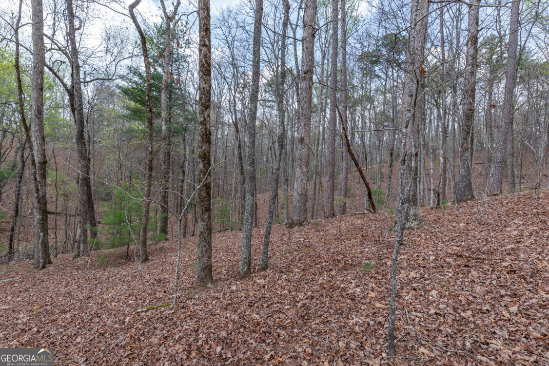 Lot 6b Glenridge Way Property Photo 4
