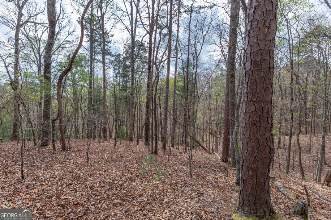 Lot 6b Glenridge Way Property Photo 5