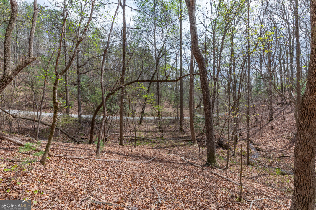 Lot 6b Glenridge Way Property Photo 6