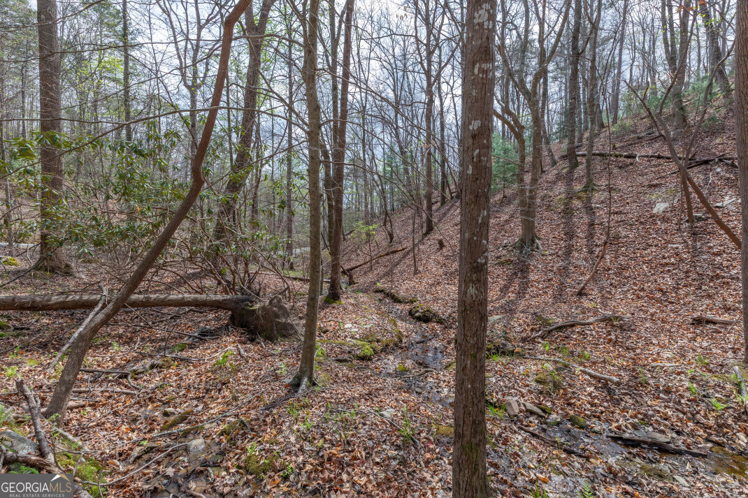 Lot 6b Glenridge Way Property Photo 8