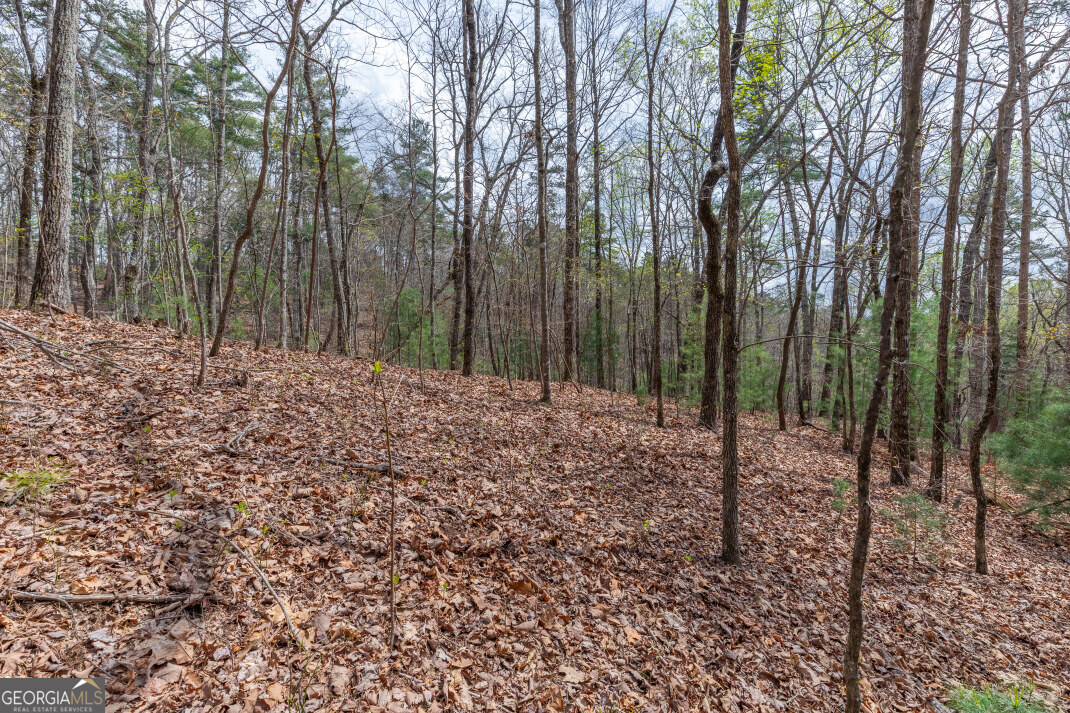 Lot 6b Glenridge Way Property Photo 9