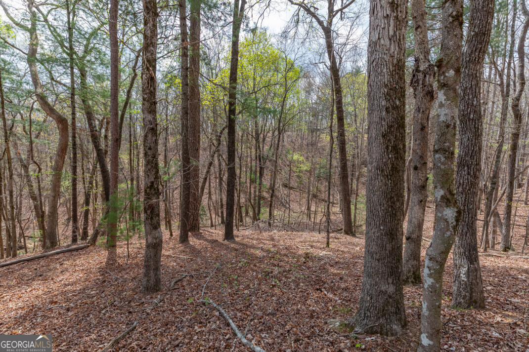 Lot 6b Glenridge Way Property Photo 10