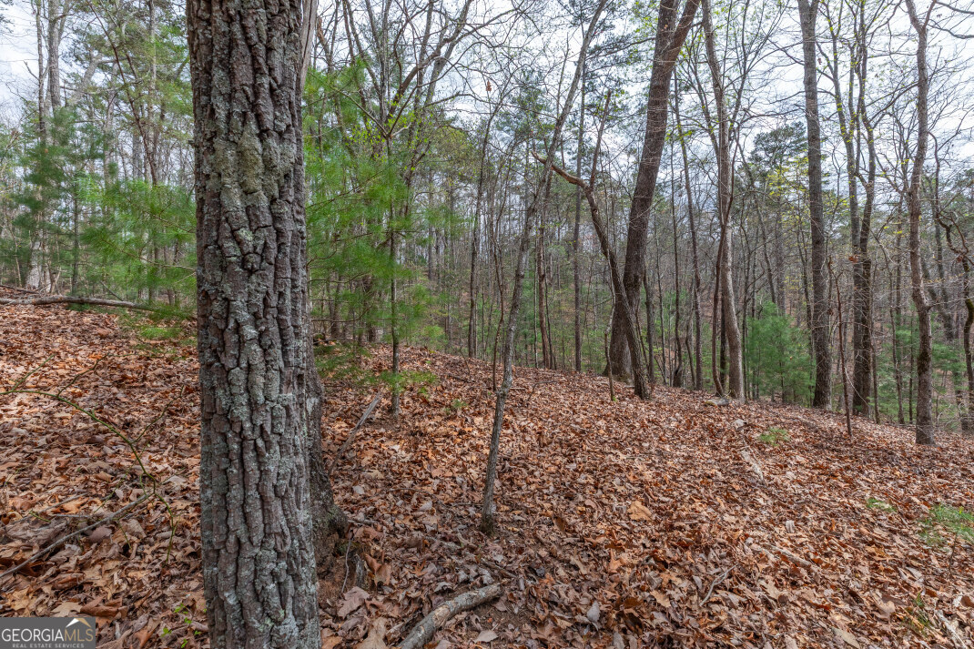 Lot 6b Glenridge Way Property Photo 11