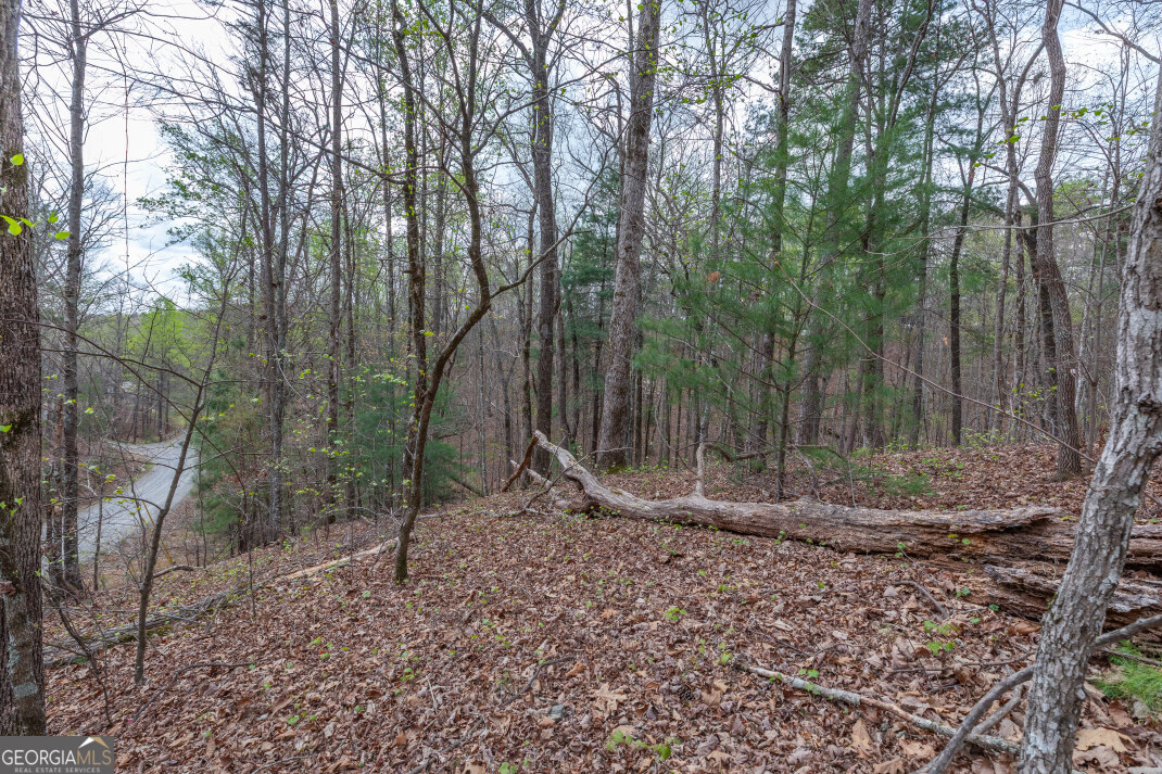 Lot 6b Glenridge Way Property Photo 12