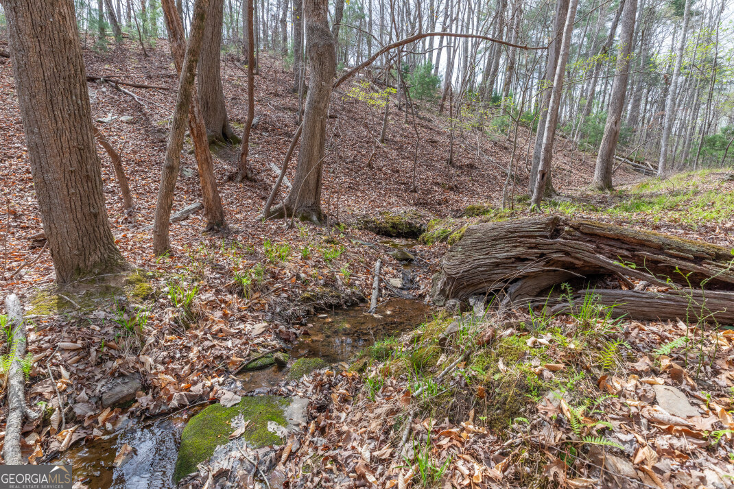 Lot 6b Glenridge Way Property Photo 13
