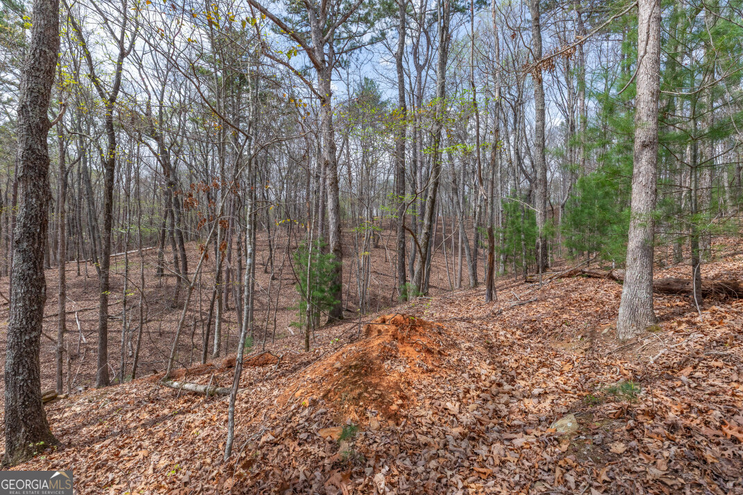 Lot 6b Glenridge Way Property Photo 14