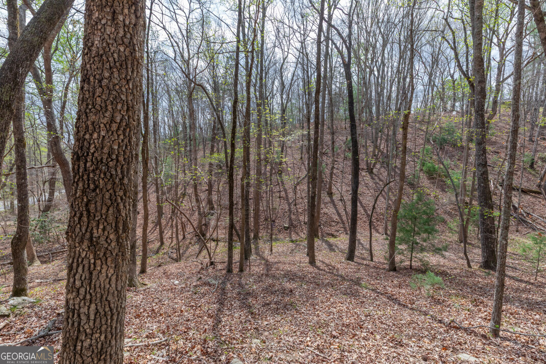 Lot 6b Glenridge Way Property Photo 15
