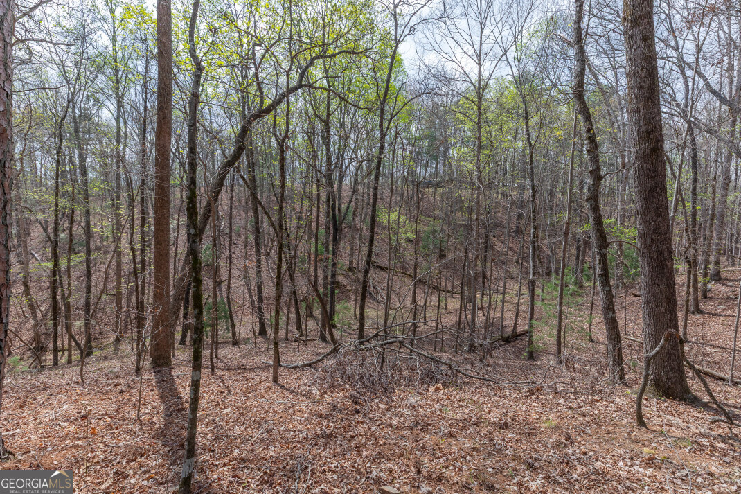 Lot 6b Glenridge Way Property Photo 16