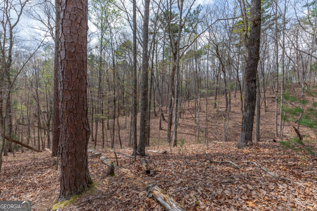 Lot 6b Glenridge Way Property Photo 17