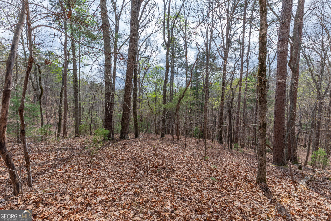Lot 6b Glenridge Way Property Photo 18