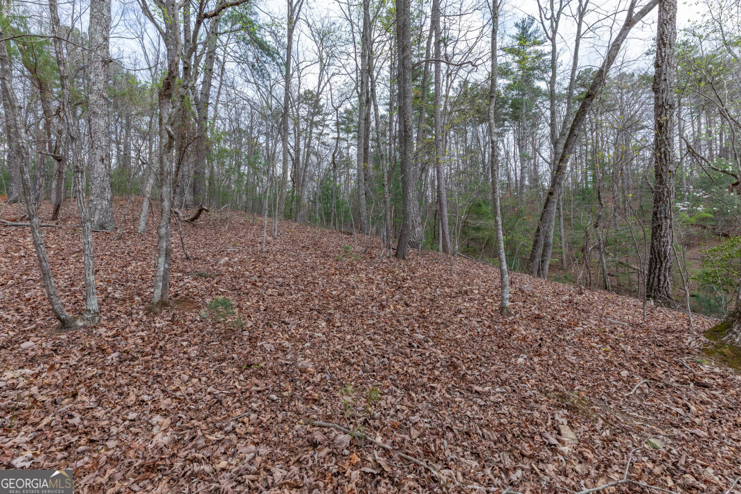 Lot 6b Glenridge Way Property Photo 19