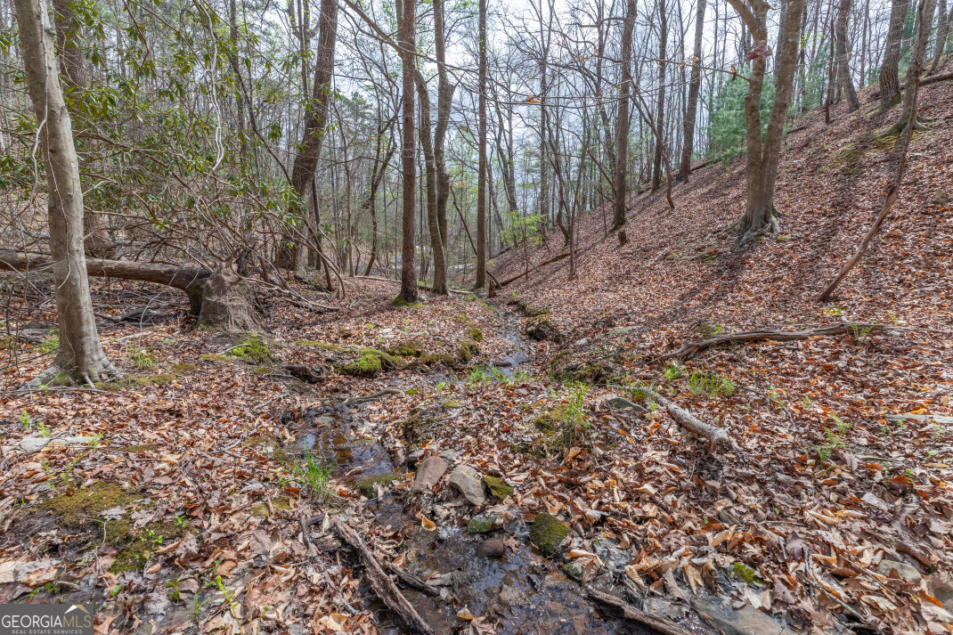 Lot 6b Glenridge Way Property Photo 20