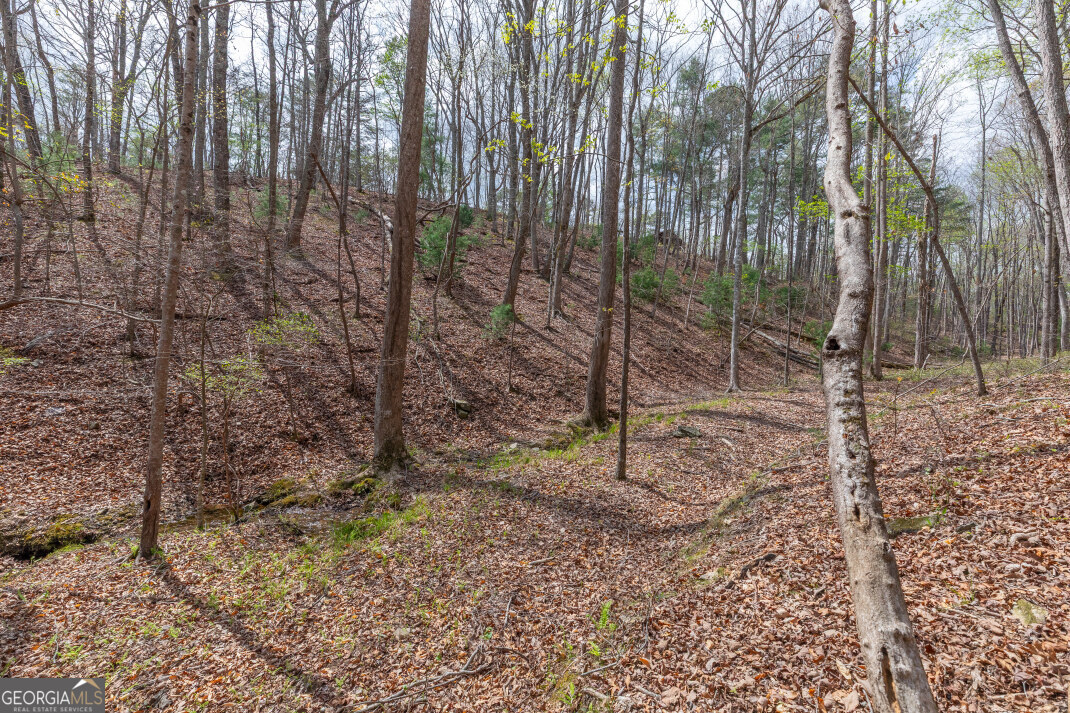 Lot 6b Glenridge Way Property Photo 21