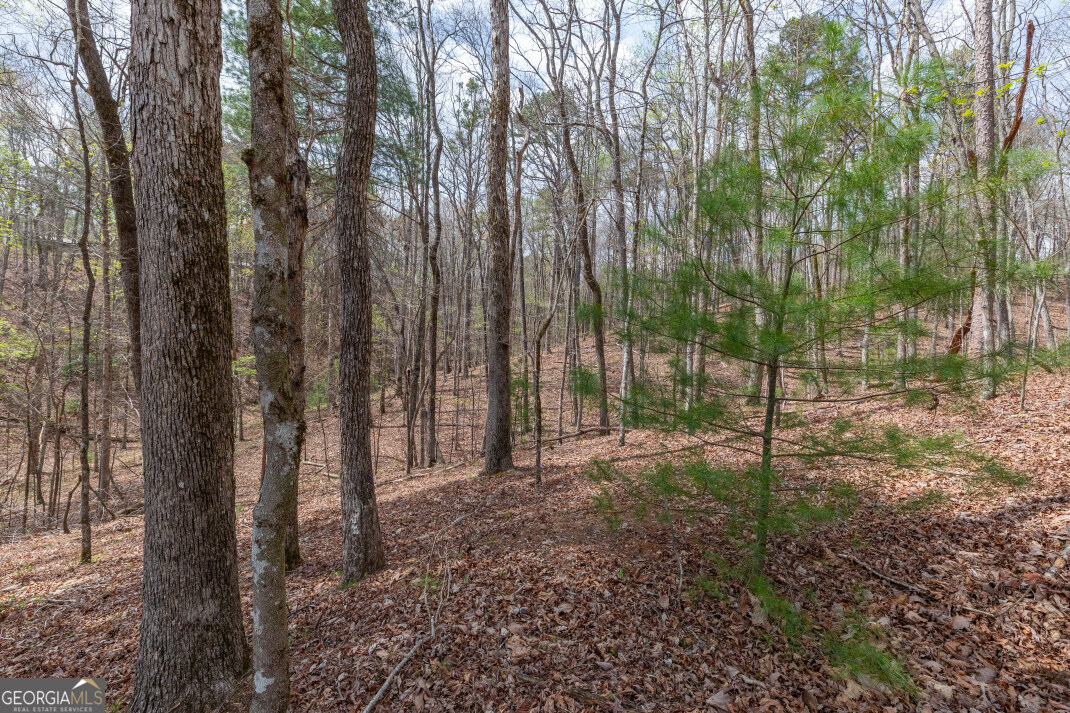 Lot 6b Glenridge Way Property Photo 22