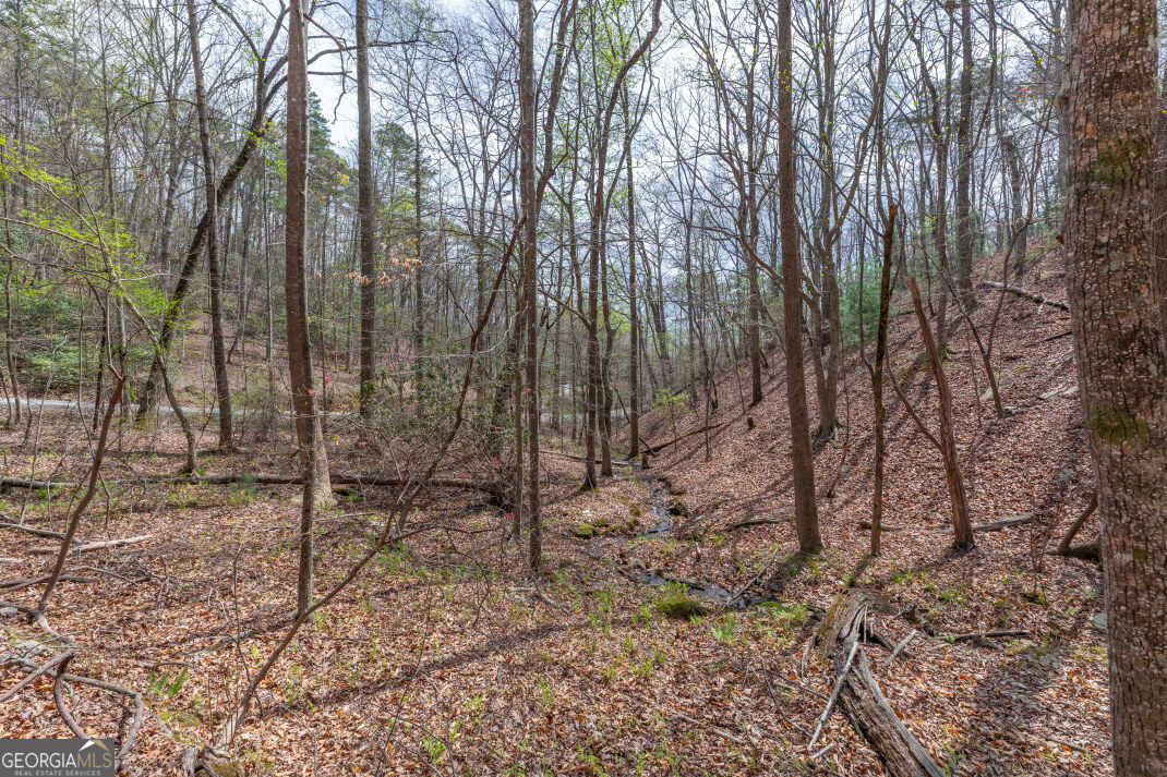 Lot 6b Glenridge Way Property Photo 23