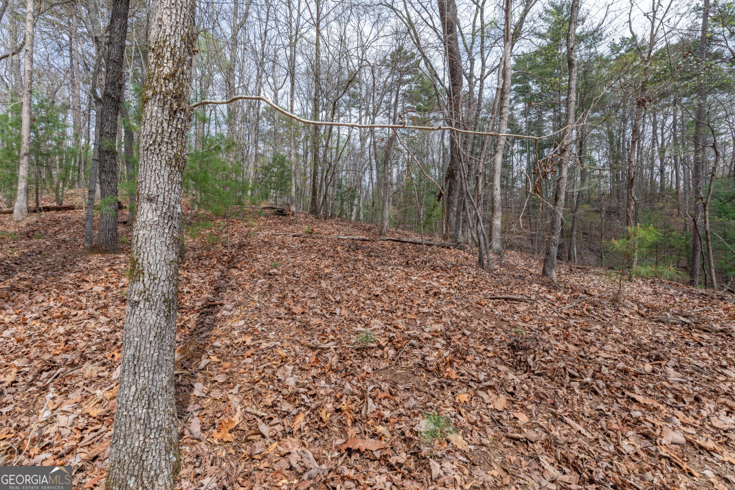 Lot 6b Glenridge Way Property Photo 24