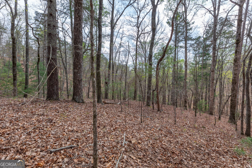 Lot 6b Glenridge Way Property Photo 25