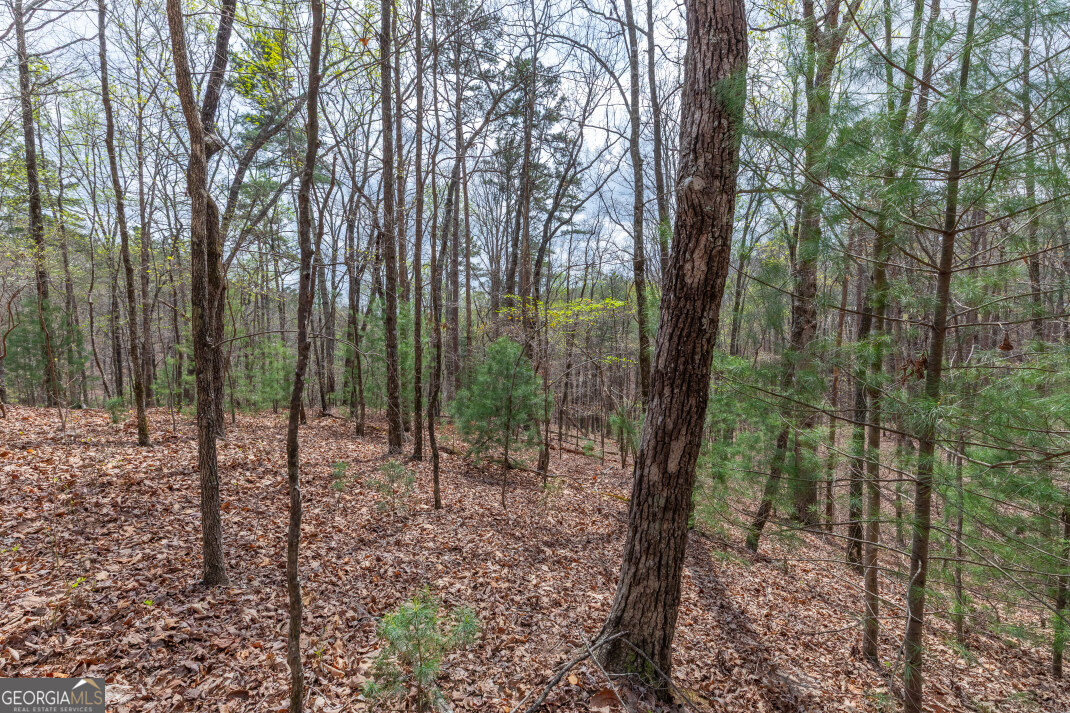 Lot 6b Glenridge Way Property Photo 26