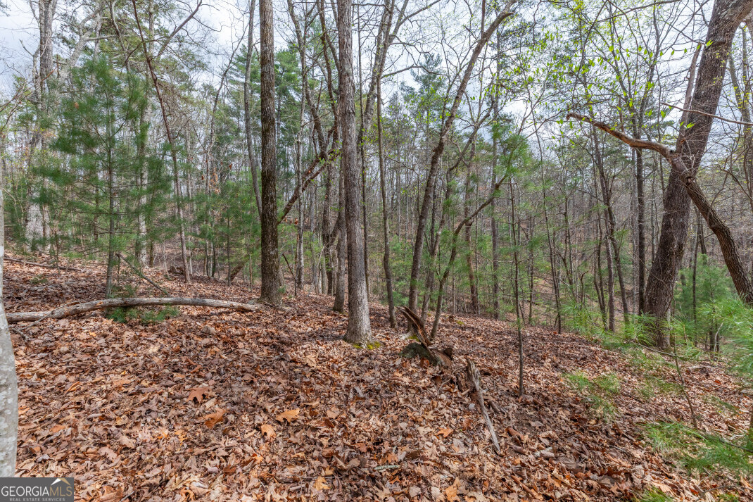 Lot 6b Glenridge Way Property Photo 27