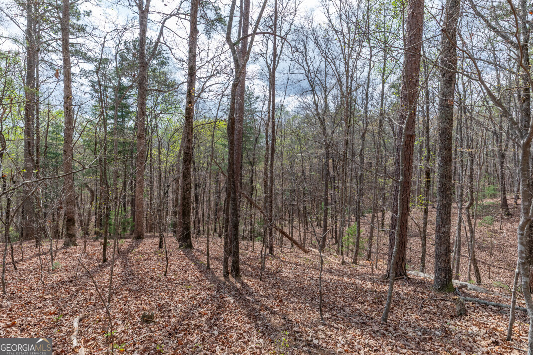 Lot 6b Glenridge Way Property Photo 28
