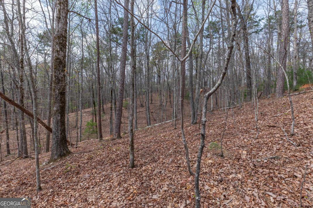 Lot 6b Glenridge Way Property Photo 29