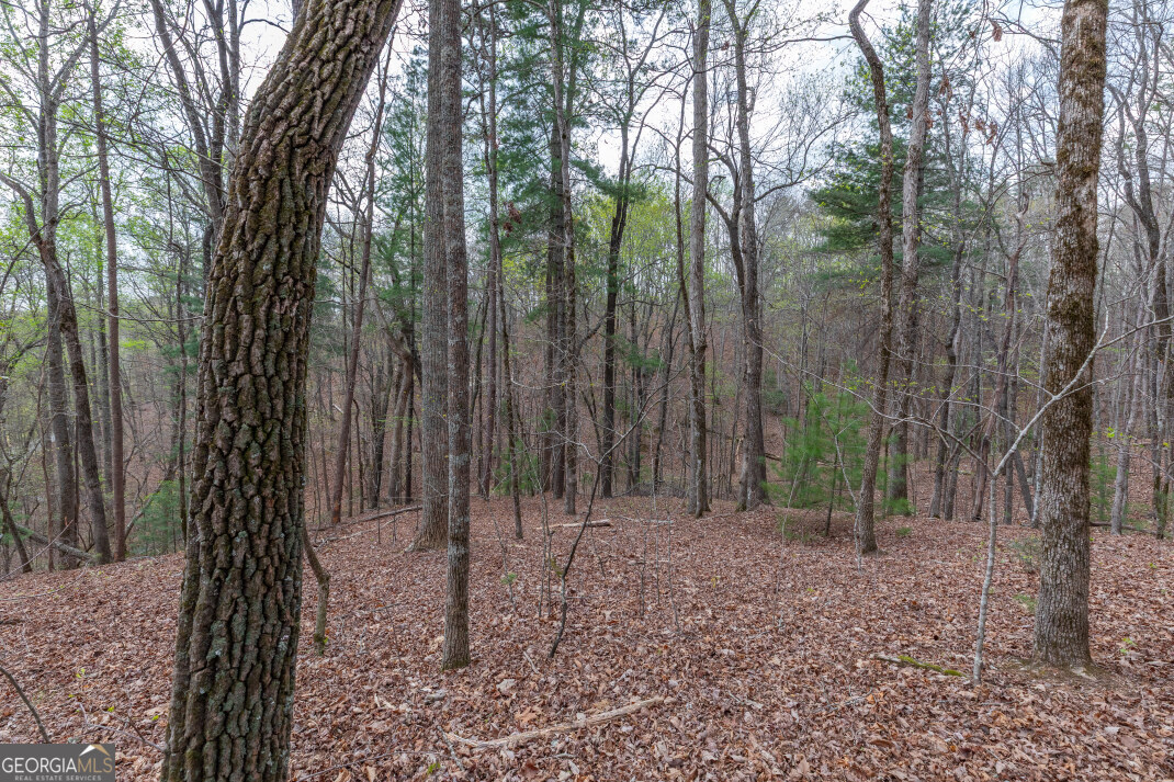Lot 6b Glenridge Way Property Photo 30