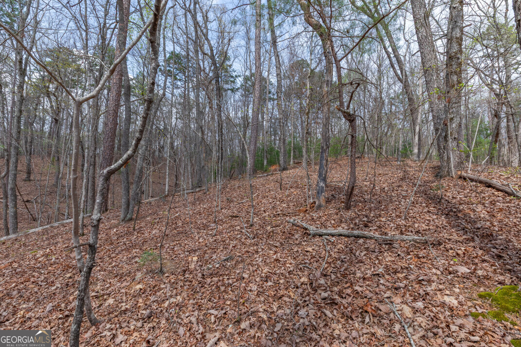 Lot 6b Glenridge Way Property Photo 31