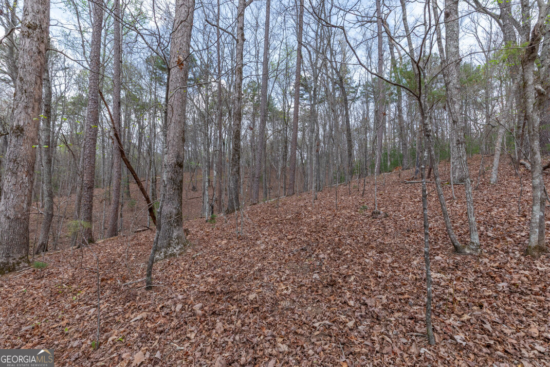 Lot 6b Glenridge Way Property Photo 32