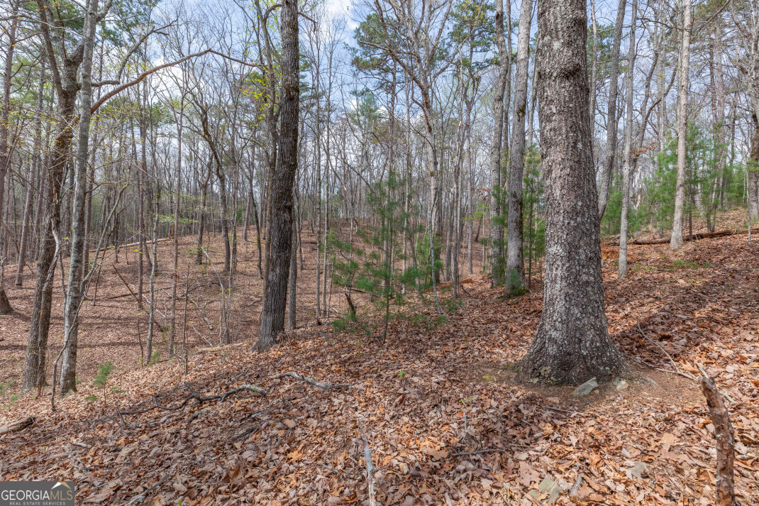 Lot 6b Glenridge Way Property Photo 33