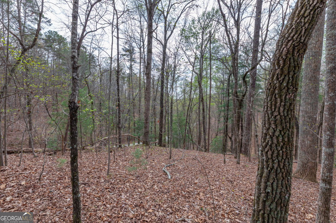 Lot 6b Glenridge Way Property Photo 34