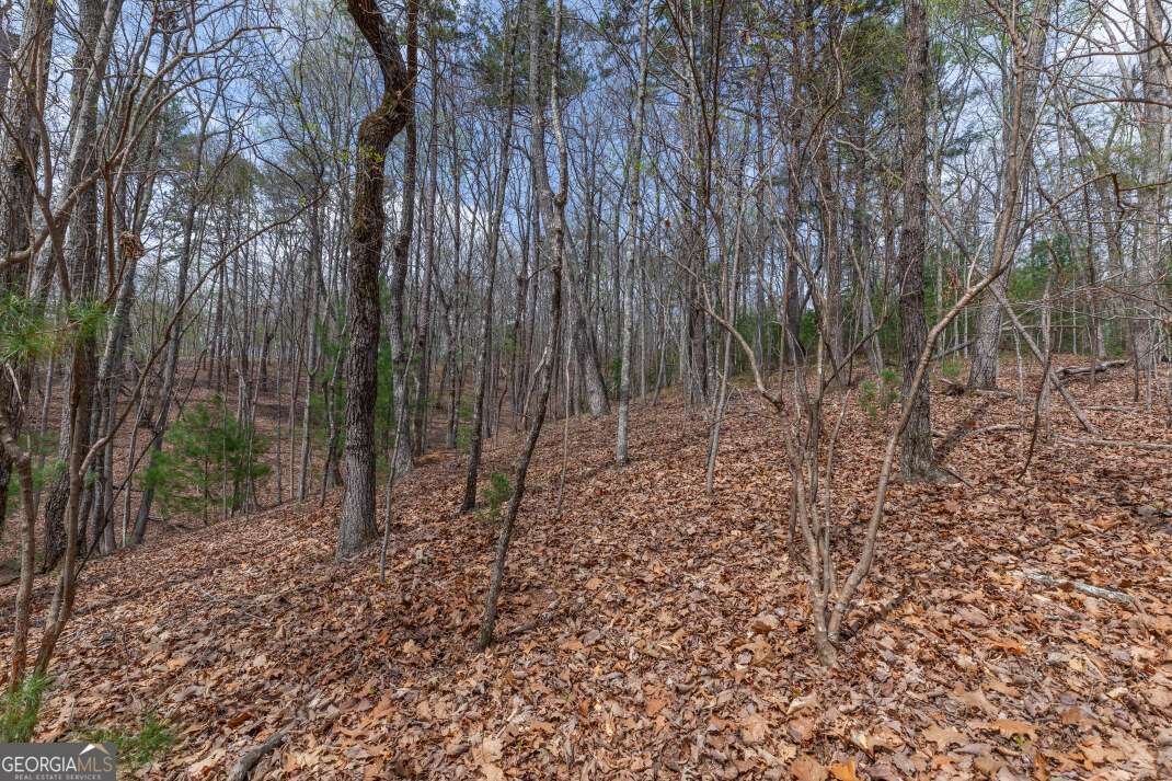 Lot 7a Glenridge Way Property Photo 2