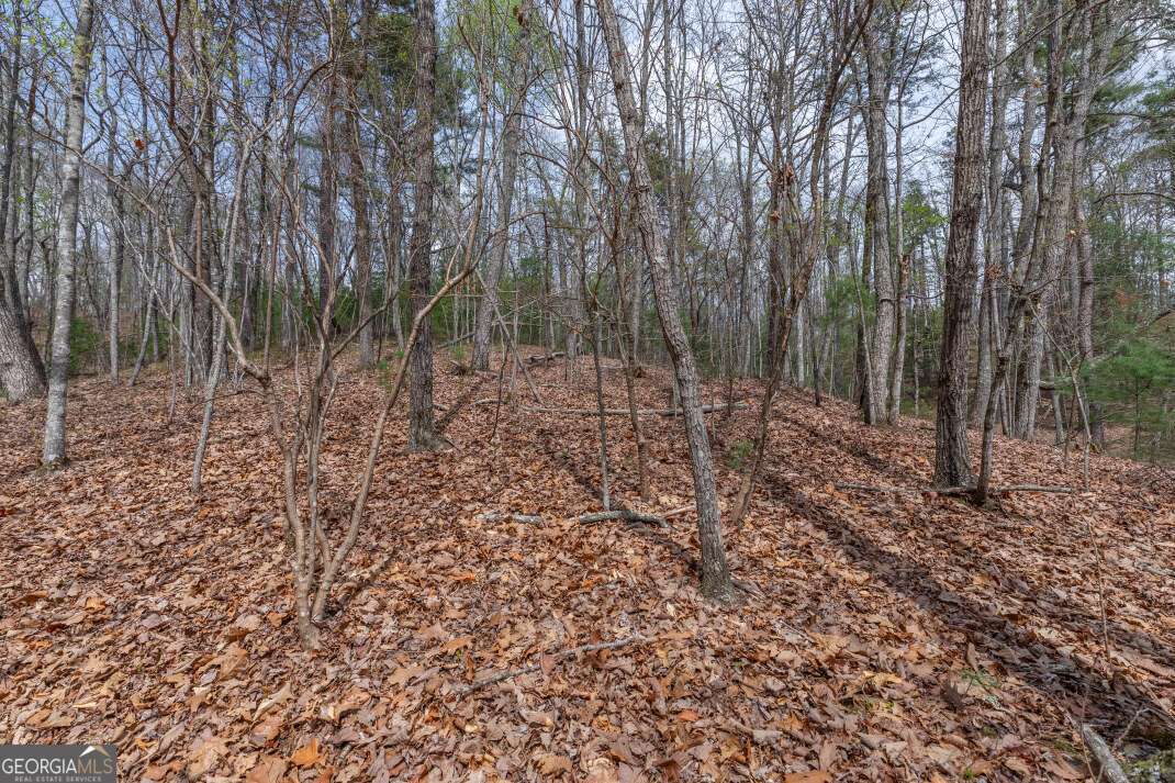 Lot 7a Glenridge Way Property Photo 3