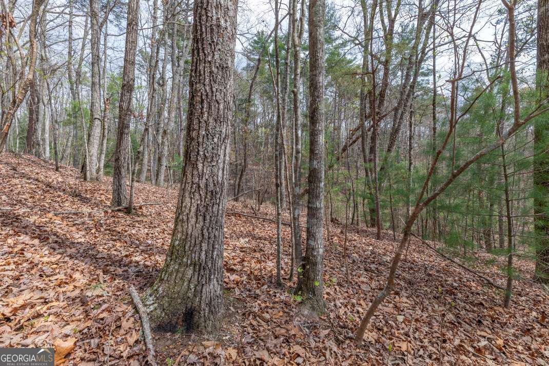 Lot 7a Glenridge Way Property Photo 4