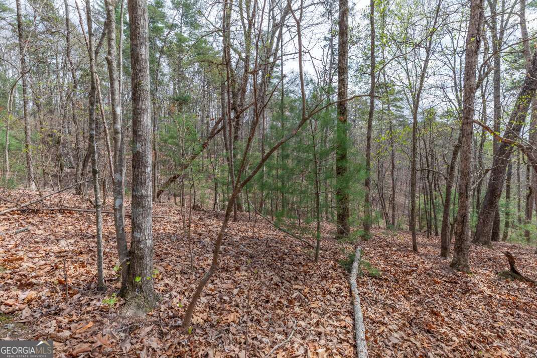 Lot 7a Glenridge Way Property Photo 5