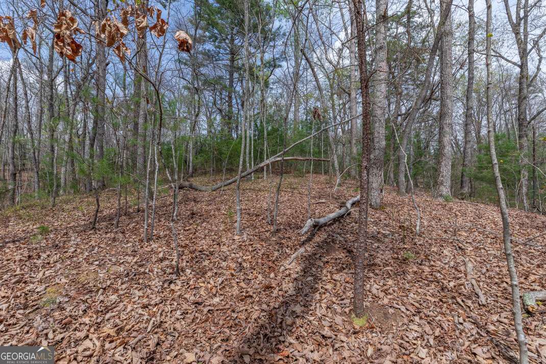 Lot 7a Glenridge Way Property Photo 6