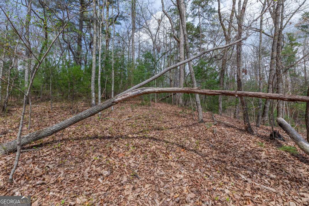 Lot 7a Glenridge Way Property Photo 9
