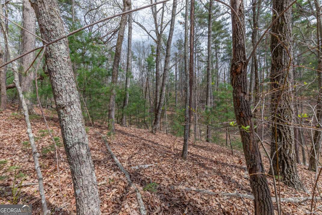 Lot 7a Glenridge Way Property Photo 10
