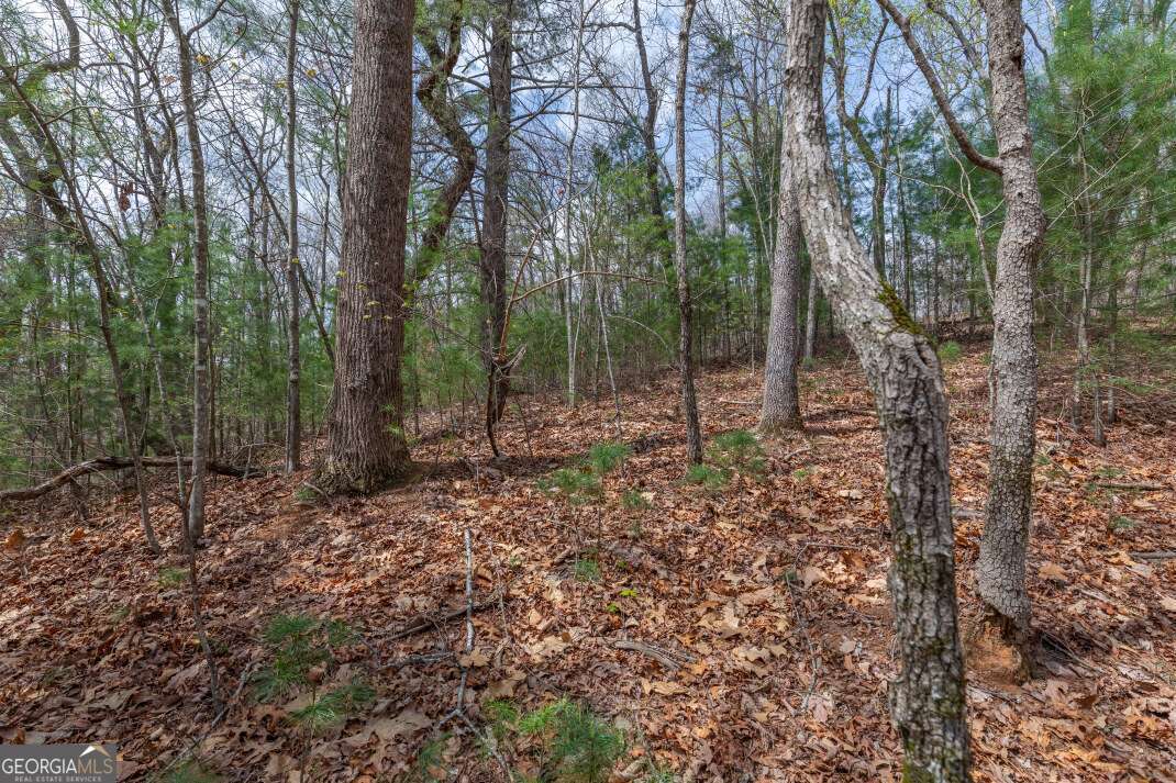 Lot 7a Glenridge Way Property Photo 12