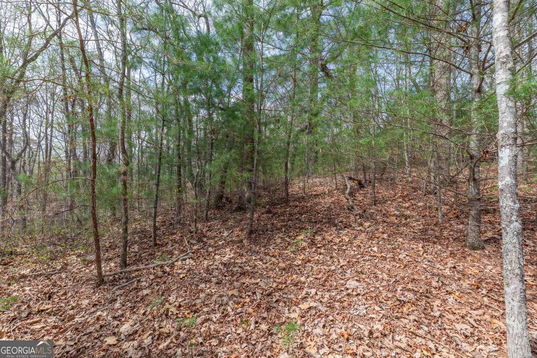 Lot 7a Glenridge Way Property Photo 13