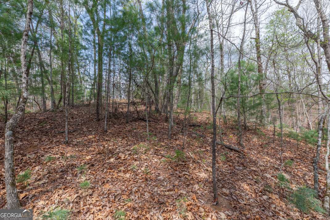 Lot 7a Glenridge Way Property Photo 14