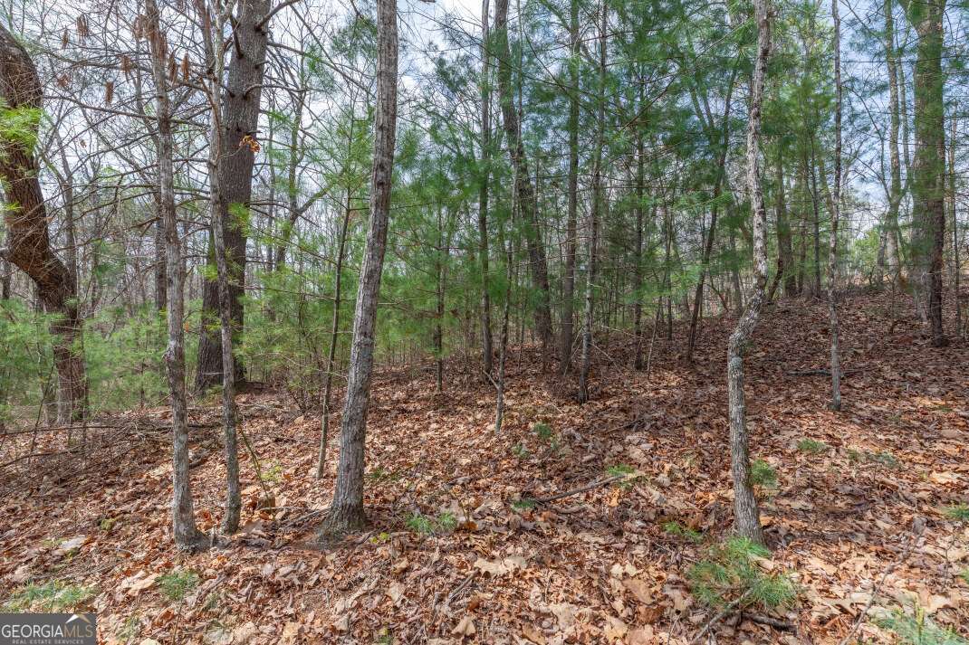 Lot 7a Glenridge Way Property Photo 15