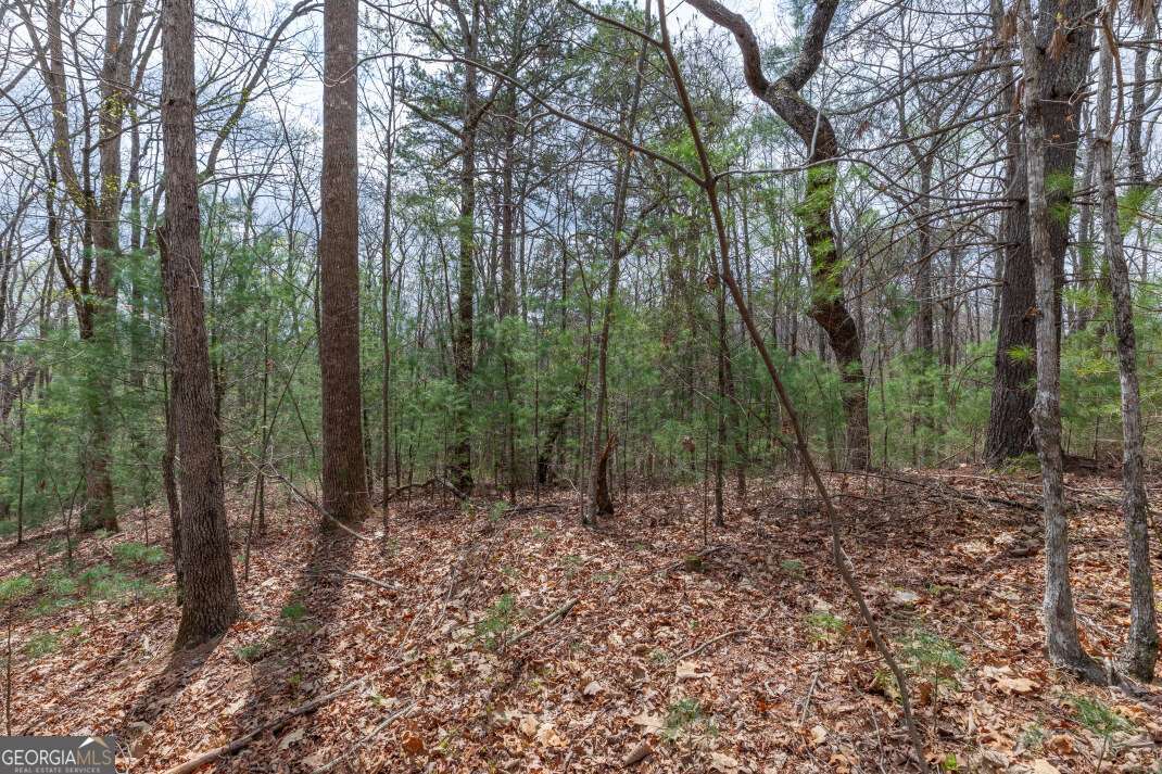 Lot 7a Glenridge Way Property Photo 16