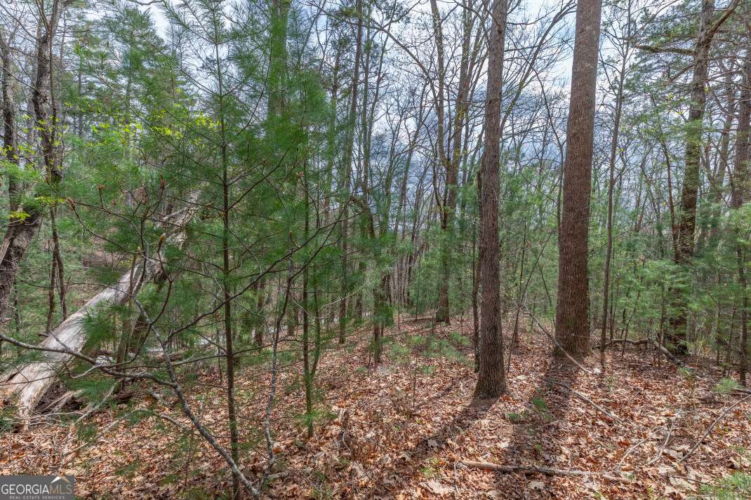 Lot 7a Glenridge Way Property Photo 17