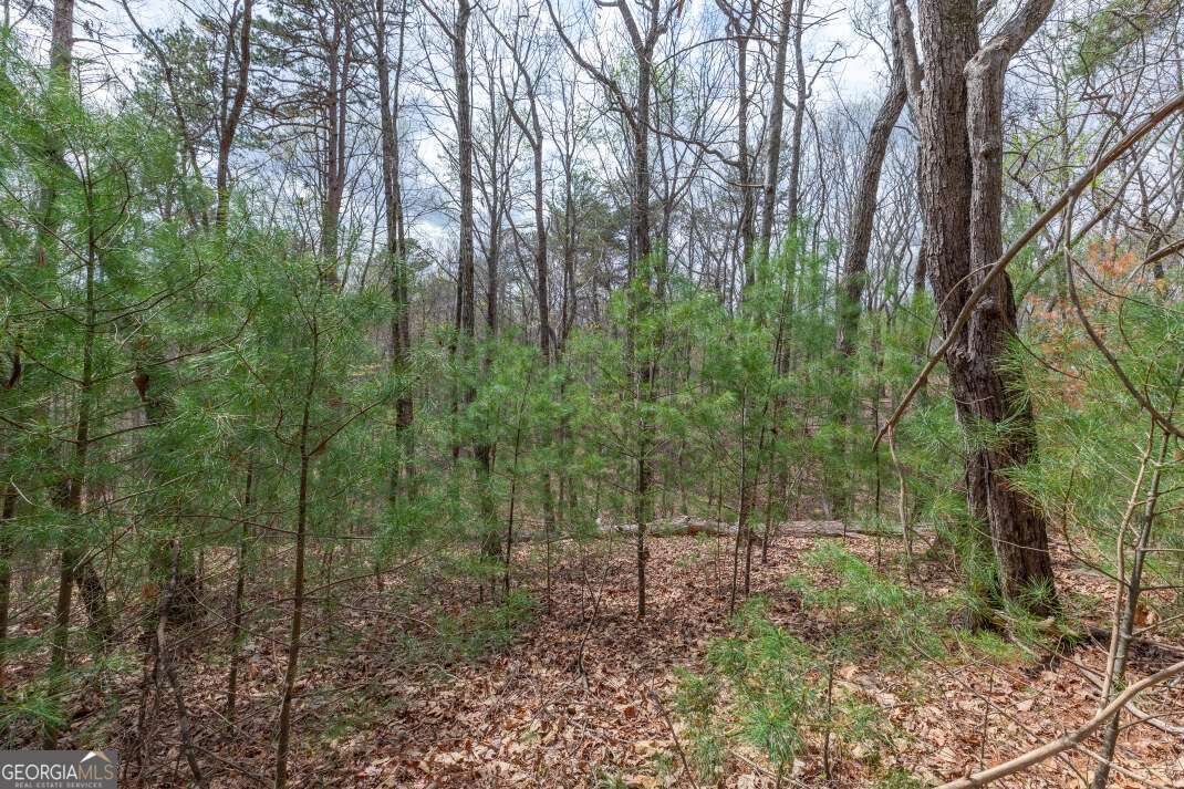 Lot 7a Glenridge Way Property Photo 18