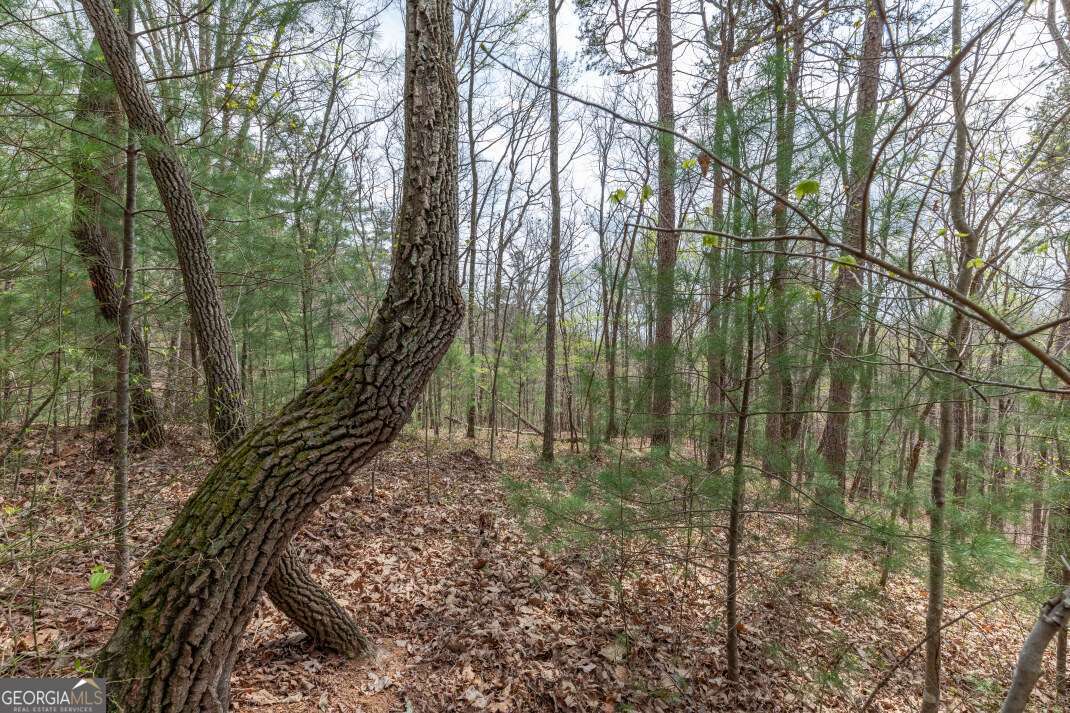 Lot 7a Glenridge Way Property Photo 19