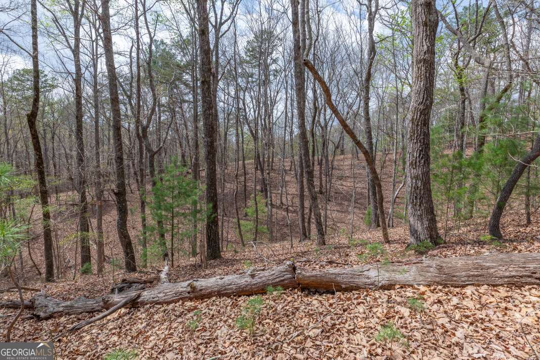 Lot 7a Glenridge Way Property Photo 20