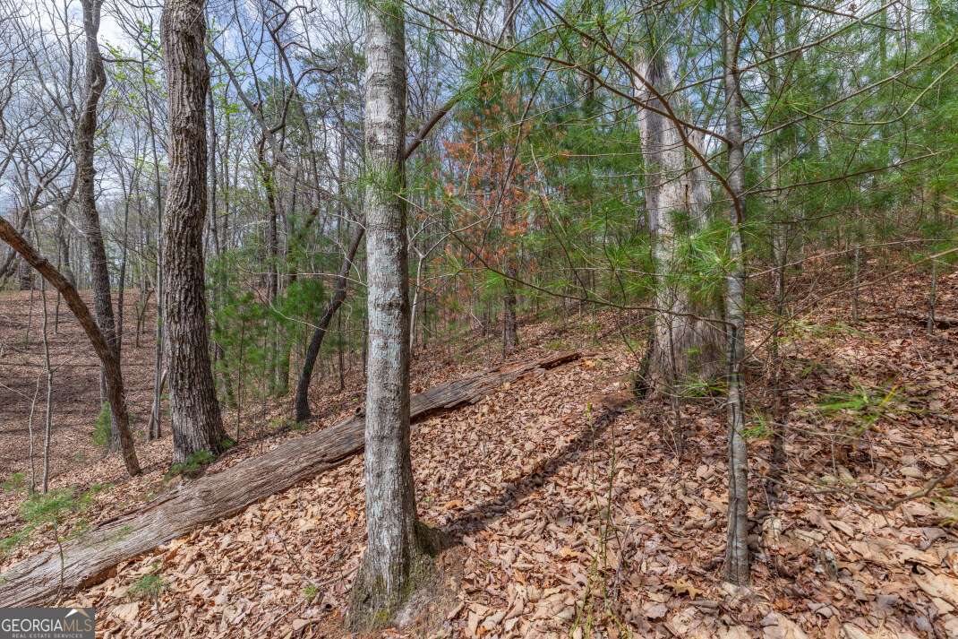 Lot 7a Glenridge Way Property Photo 21